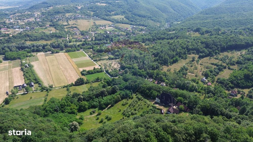 Castel de Vanzare IN MARAMURES