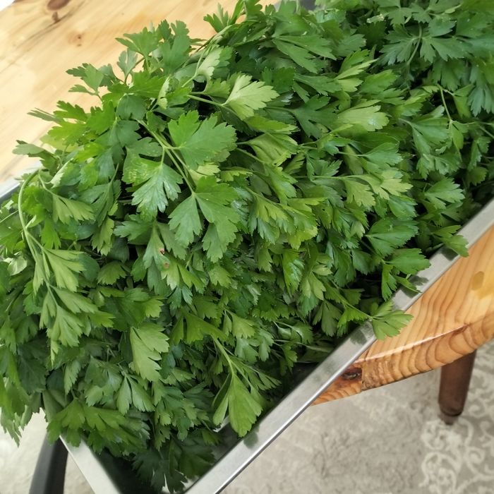 Продам зелень(петрушку)