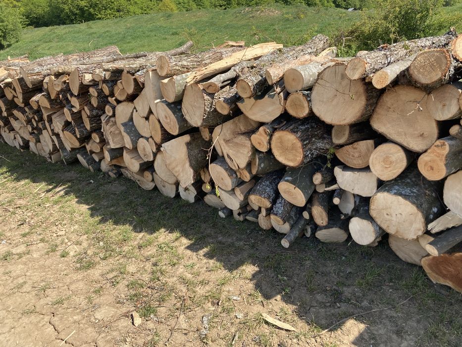 Lemne de foc esenta