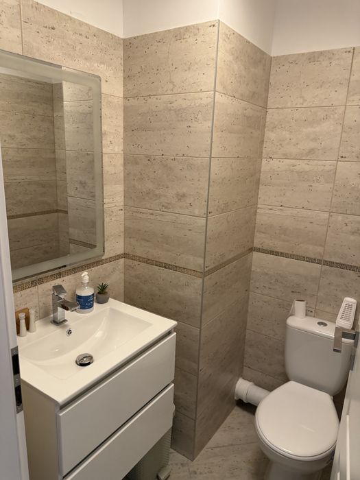 Ofer spre inchiriere apartament  3 camere