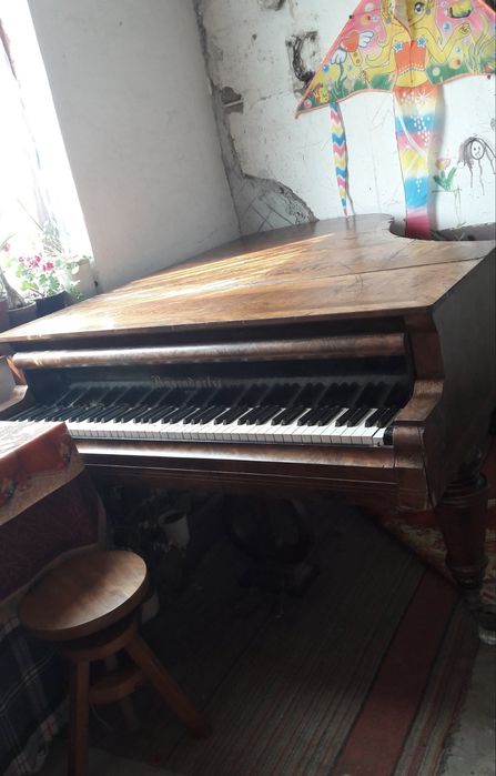 Pian Bösendorfer