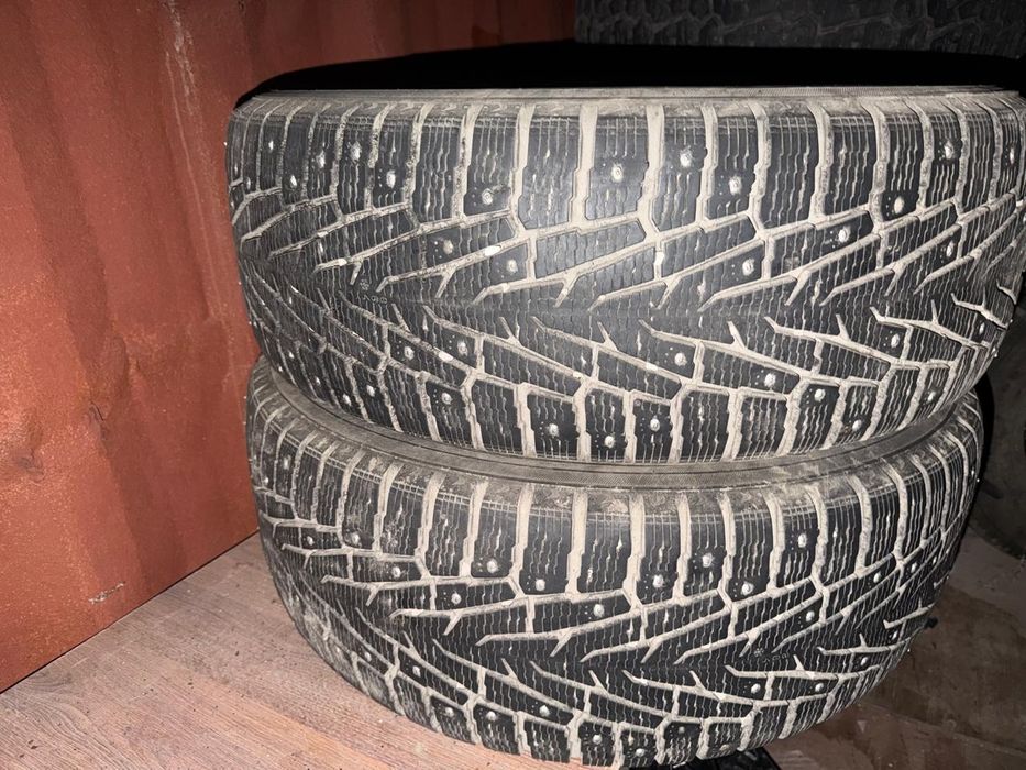 Зимние шины nokian ikon tyres