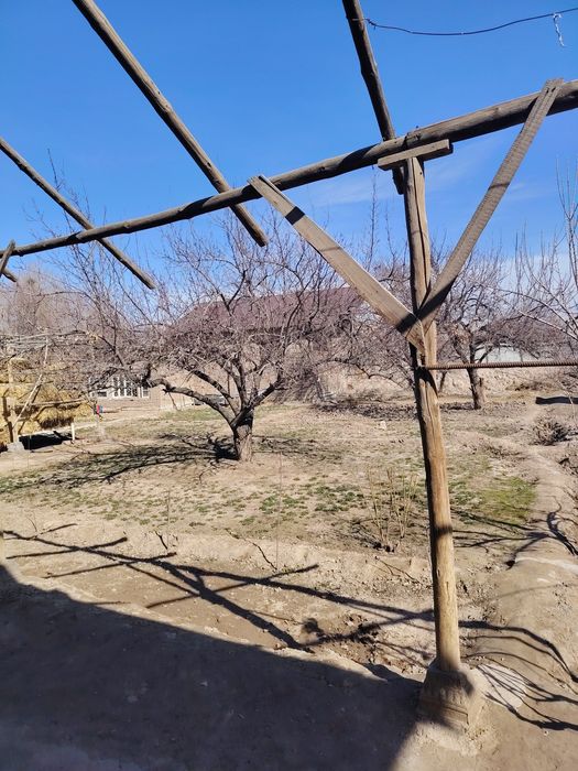 Хонка Мадрида тураржойурни