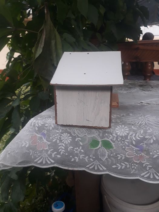 Amadinalar uchun uychalar,2