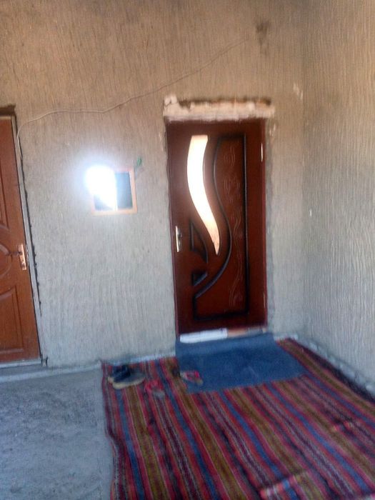 Kotej hovli sotiladi