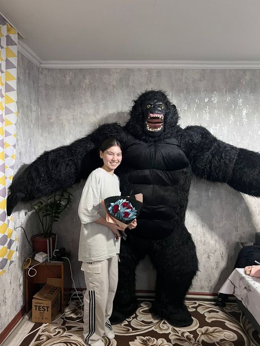 Продаётся мишки и горилла