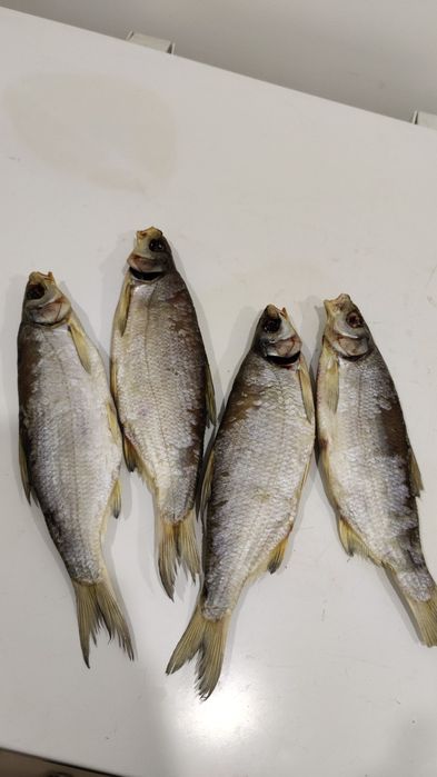 Рыбец вяленый продаю