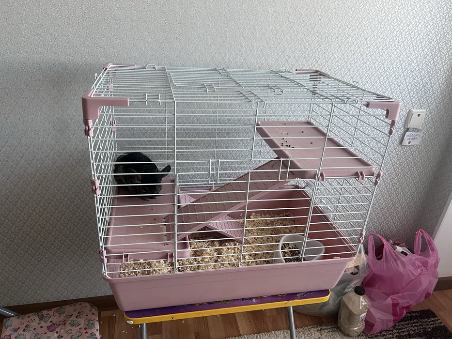 Продам шиншиллу вместе с клеткой