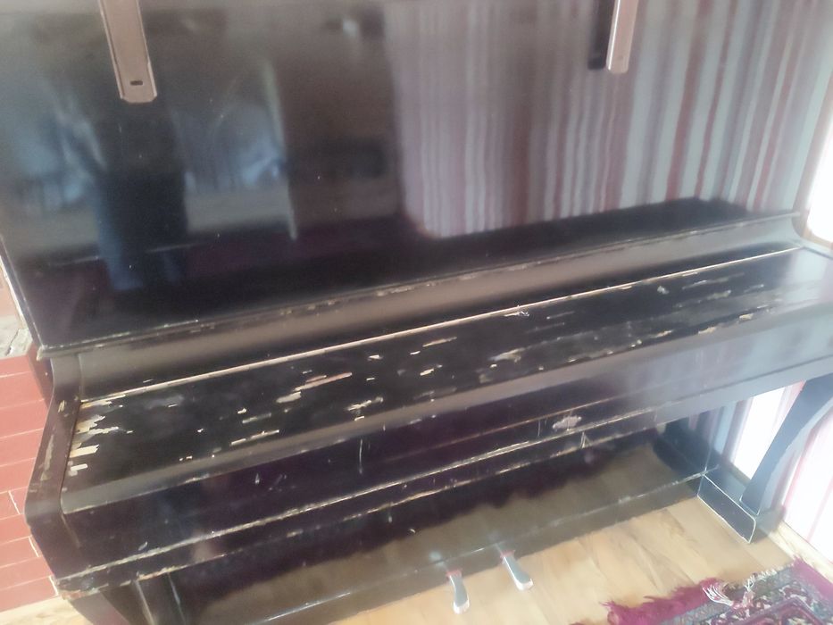 Fortepiano belarus