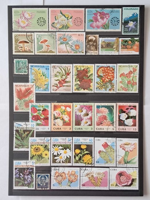 Пощенски марки тема ”Растения”.