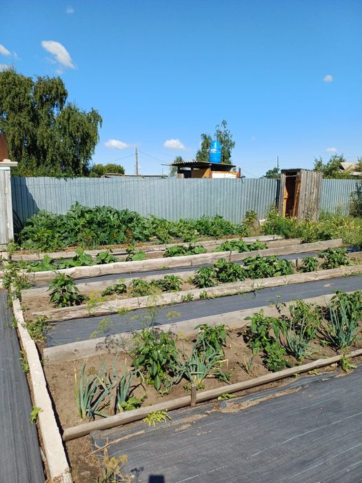 Продам дачу. Мелиоратор