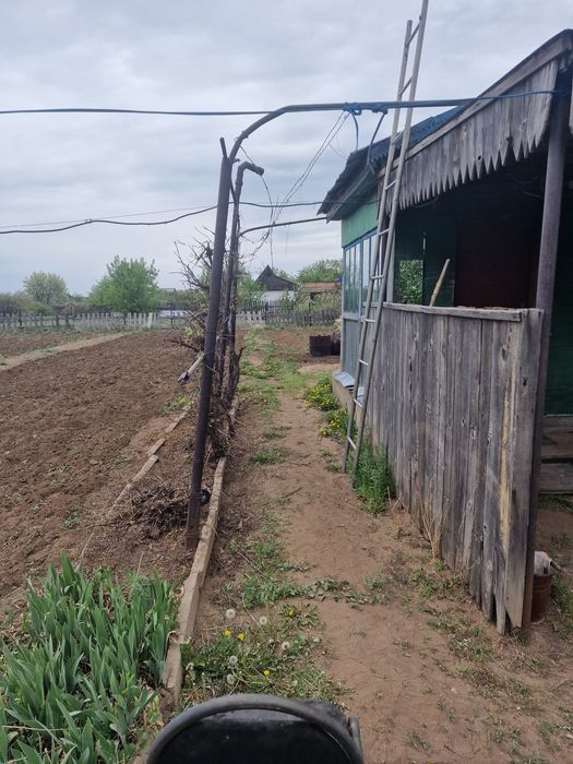 Продаётся дача в Цветущий саду