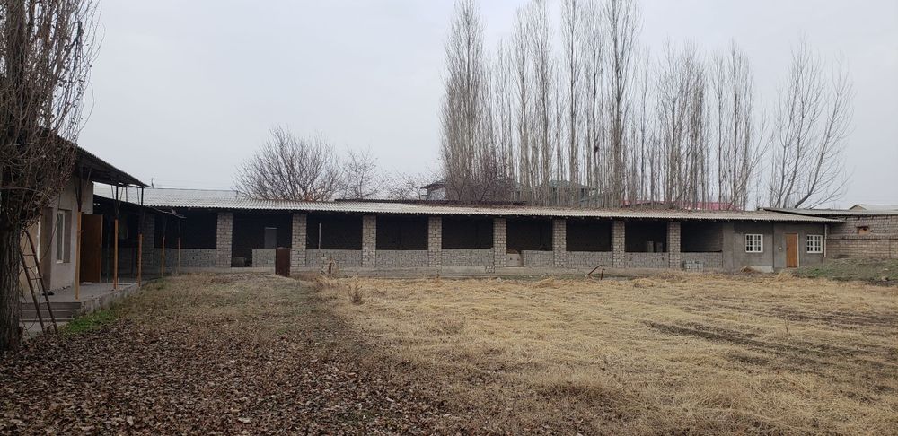 Ферма аренда  берилади