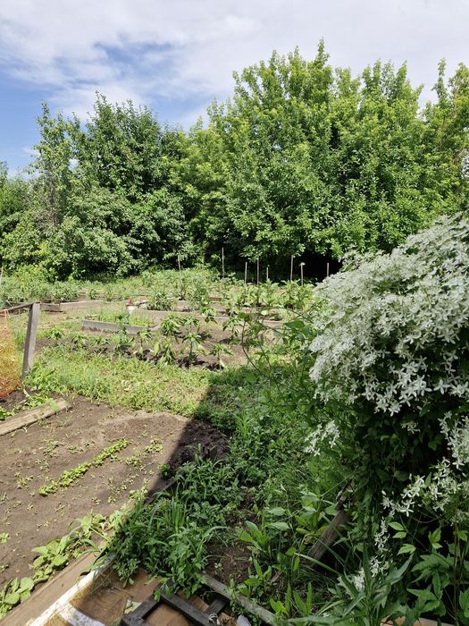 Продам дачу садоводство Металлург