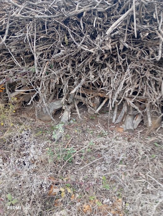 Oʻ'tin sotiladi kelish turib beramiz