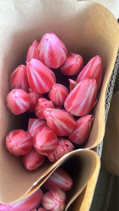 Тюлпаны по выгдной цене