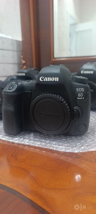 Canon EOS 6D Mark ll+ Canon macro lens Ef 100 mm 1:2.8 L IS. USM