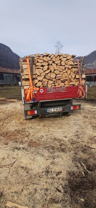 Lemne de foc esență tare Fag