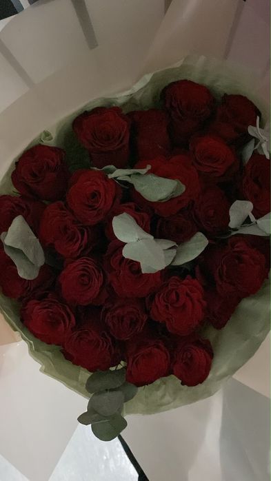 розы красные 25 штуков