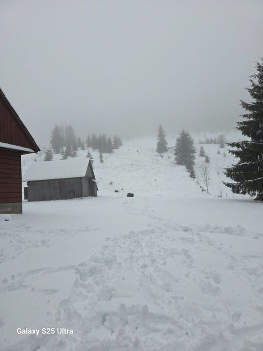 Teren Lunca Visagului