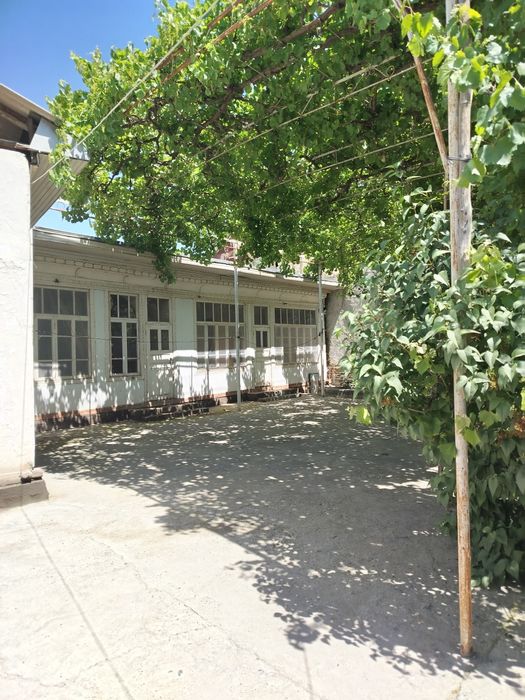 Hovli uy. Yashash va biznes uchun.