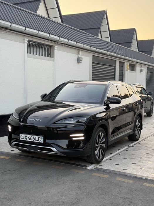 BYD champion EV 2024