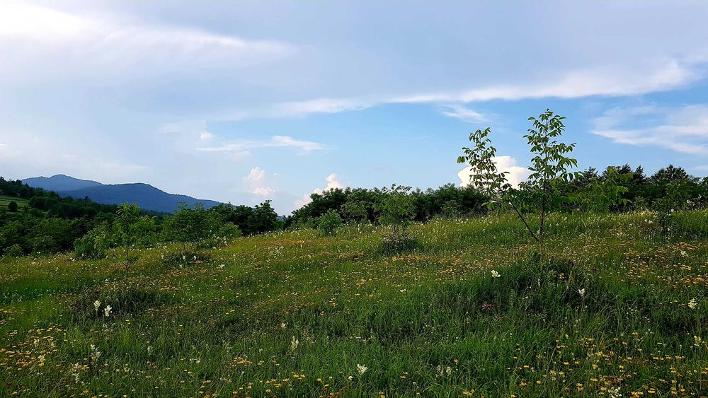 Vand teren Dealul Comanestiului