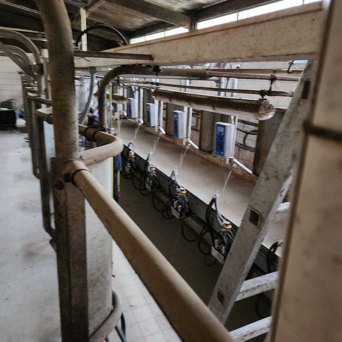 Sala de muls  de vanzare