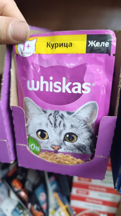 Китикет 15 кг и жидкий