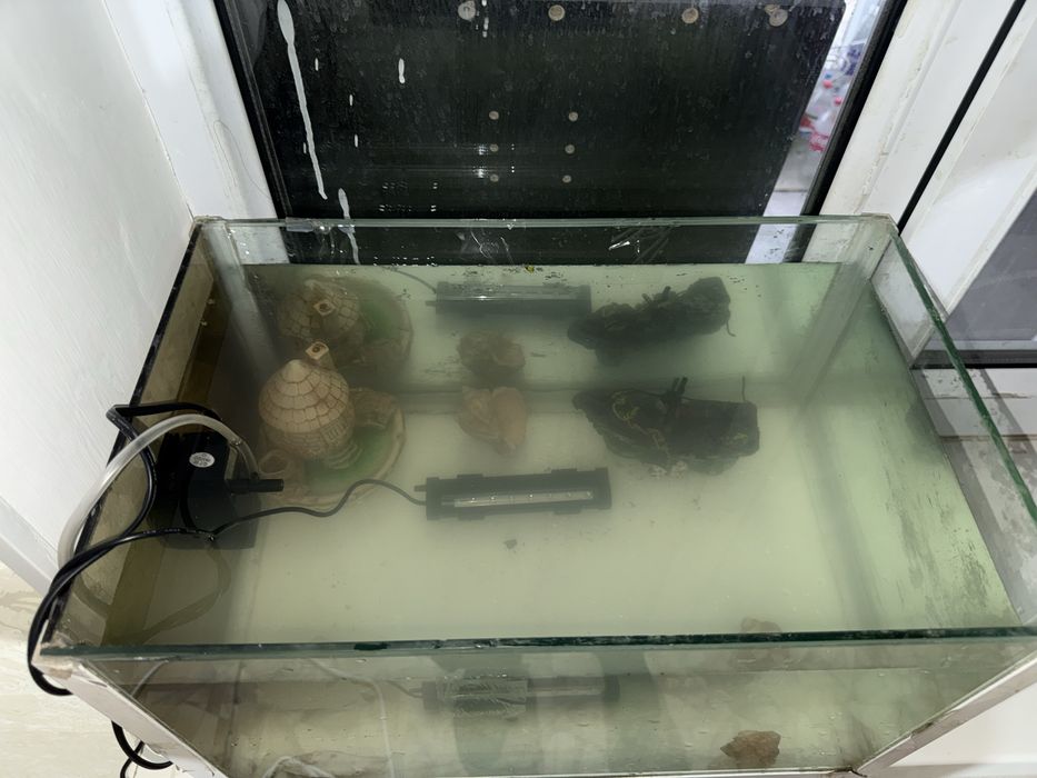 Аквариум 60л и 40л