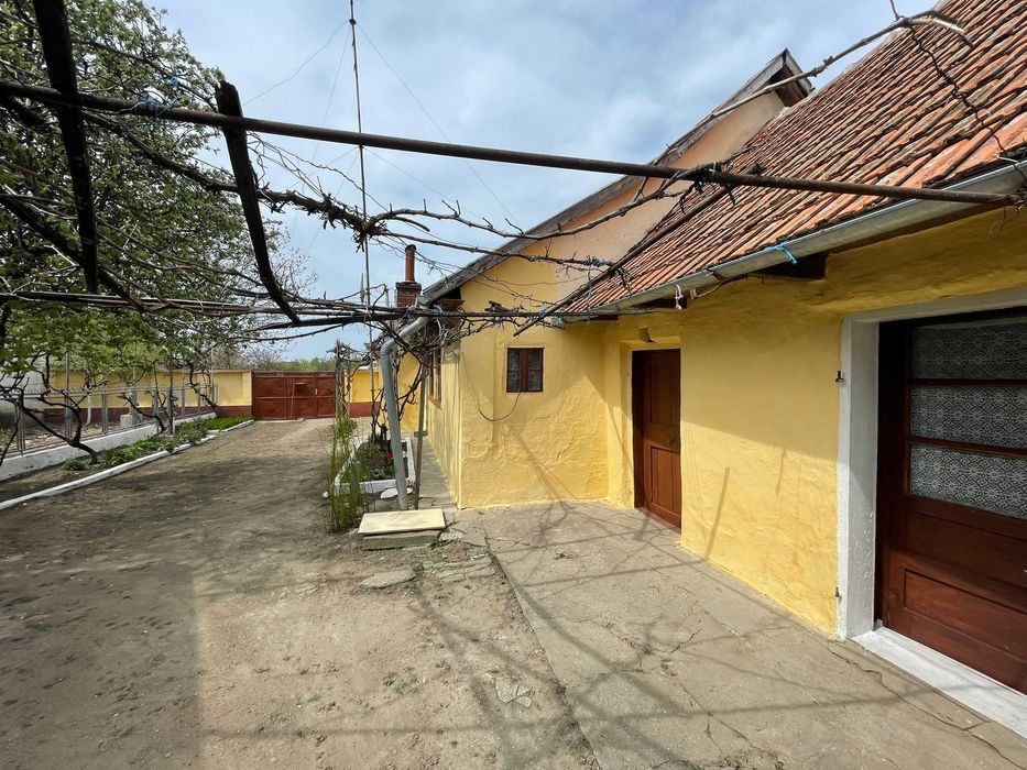 Locuința oras Pecica