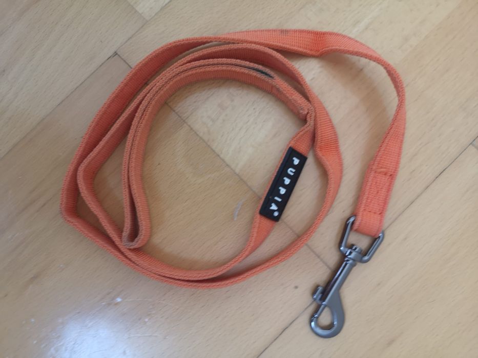 Ham ,lesa ajustabila caini catei talie mica