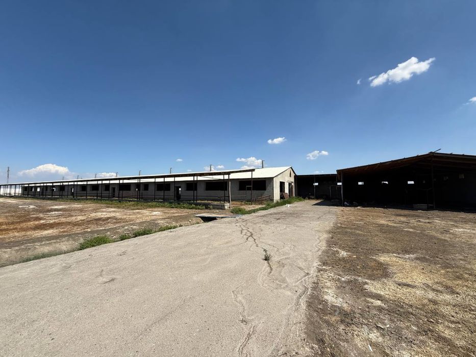 Tayyor 4,5 gektarli ferma sotiladi (Buxoro/kogon)