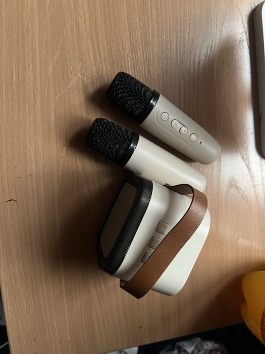 Колонка с двумя микрофонами