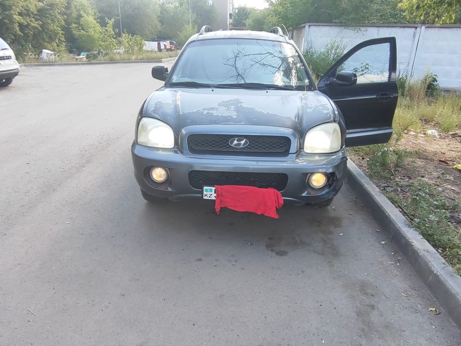 Продам Hyundai Santa Fe 2004г