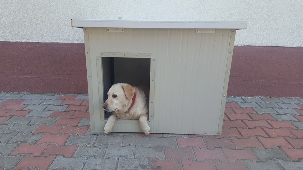 Cușcă câine                           .
