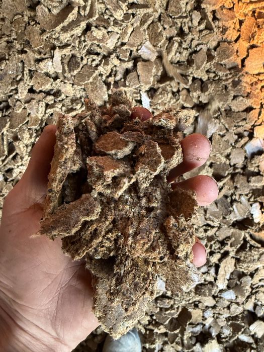 Жмых, Шелуха хлопка, күнжара, шрот