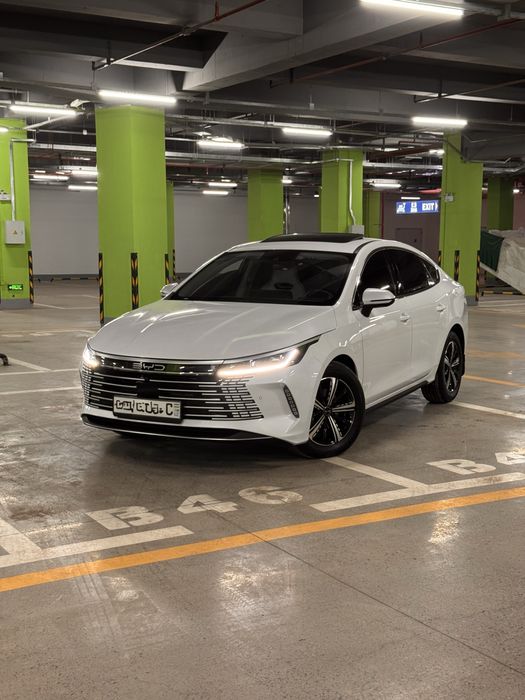 Chazor full 4 pizitsa