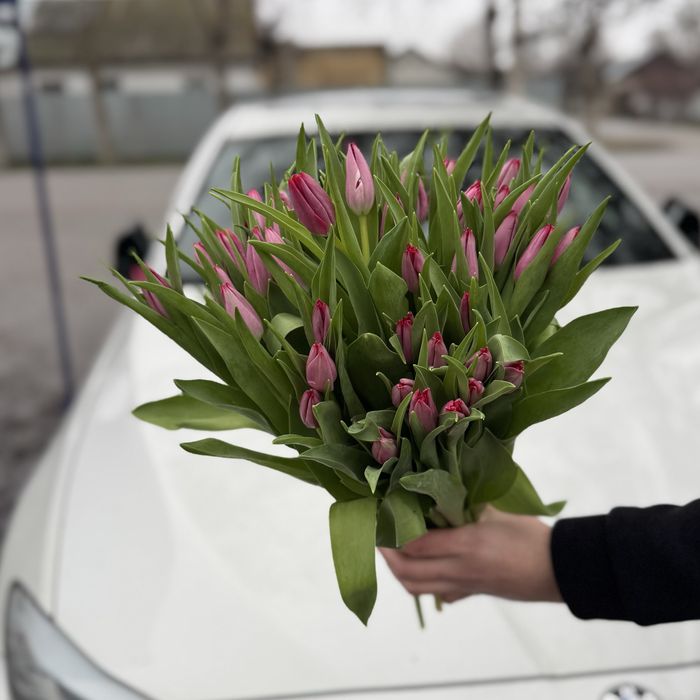 Голландские тюльпаны