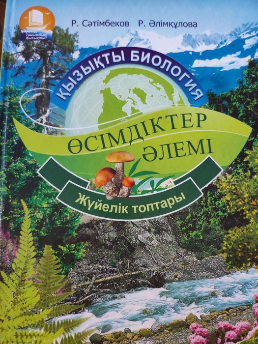 Жатырдың жақыннан түсірілген порнографиялық фотосуреттері