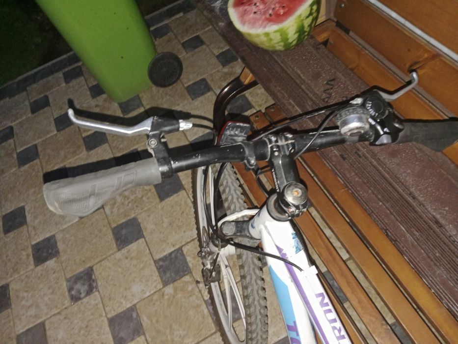 Torrent Optitron 2020 года