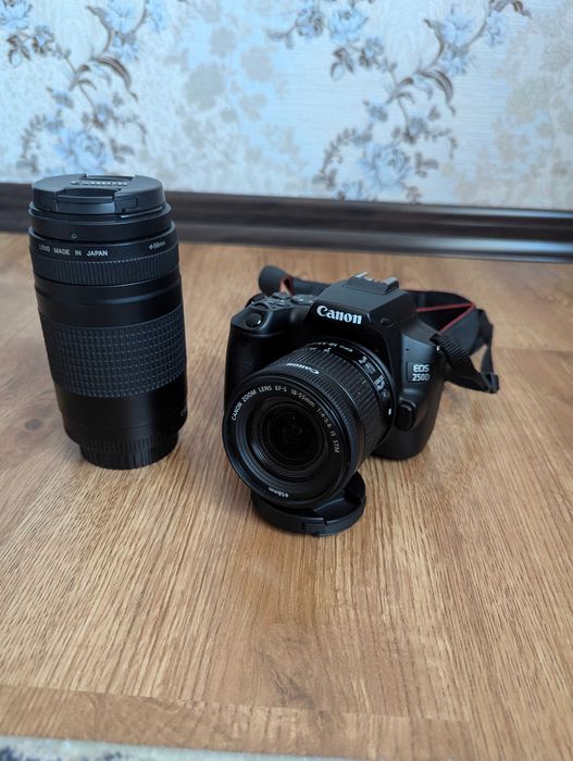 Canon 250d фотоаппарат