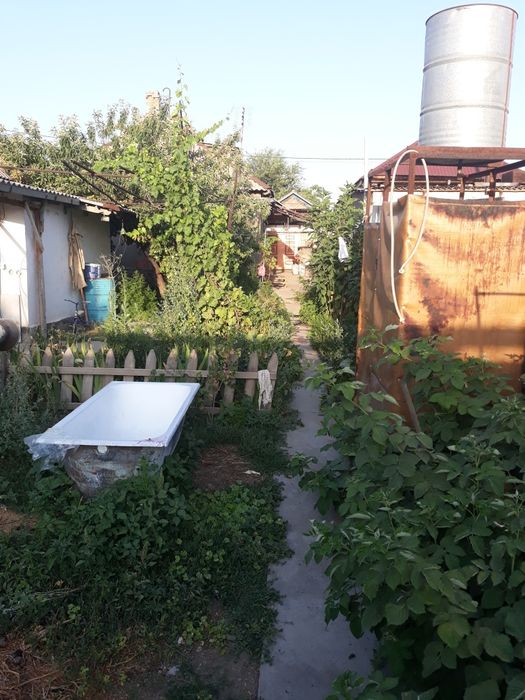 Забадам. Откорм Савхоз.