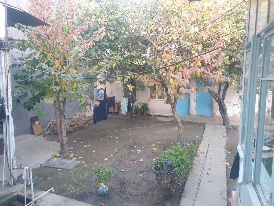 Xovli sotiladi yer xisobida 3.5 so'ti Mirzo ulugbek rayo'nida qorasu 2