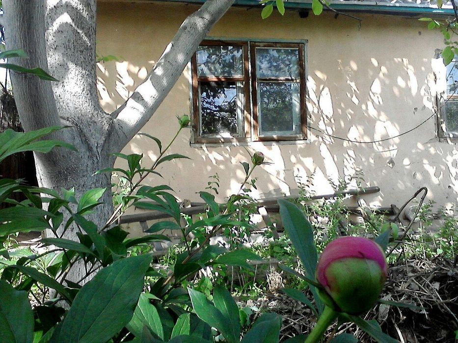 Продам дачу. Дом 2 комнаты. Баня