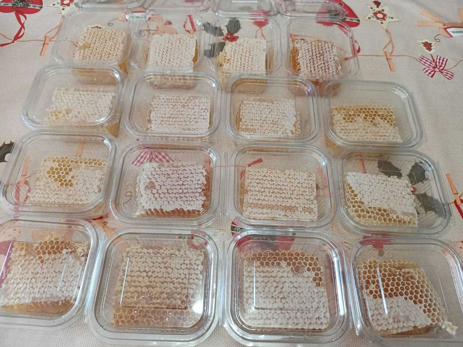 Vând miere naturala de albine + rame cu faguri cu miere