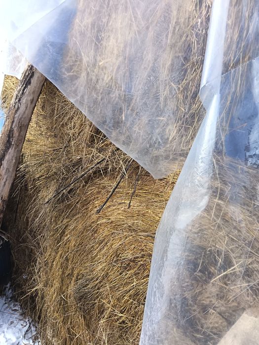 Văd  fân baloți și vrac amestecat cu lucerna