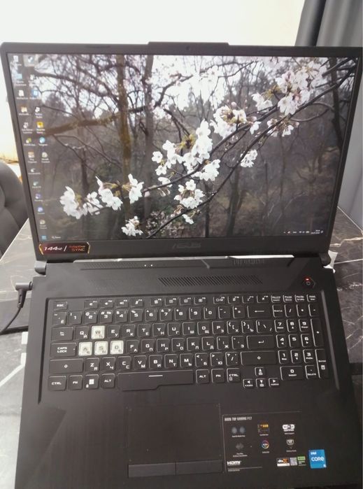 ASUS TUF gaming F17