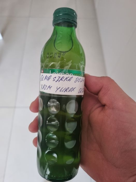 Olma va shotut sirkasi