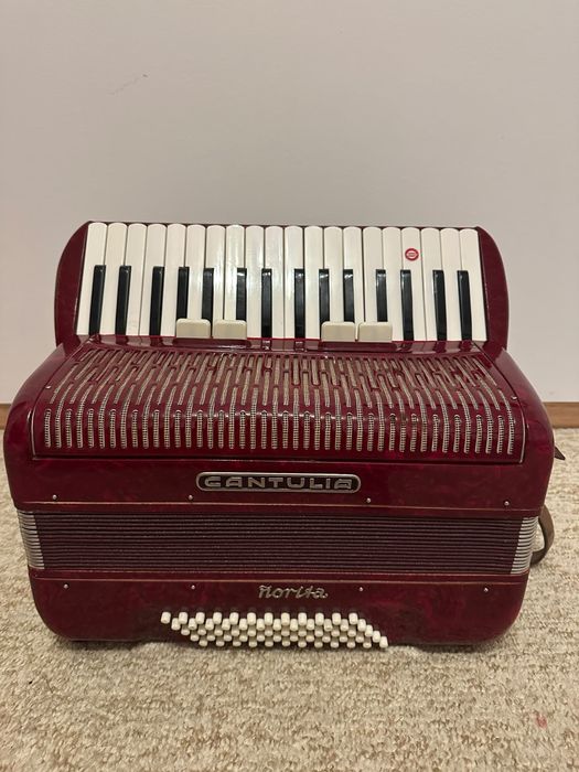 Acordeon! 60 de basi